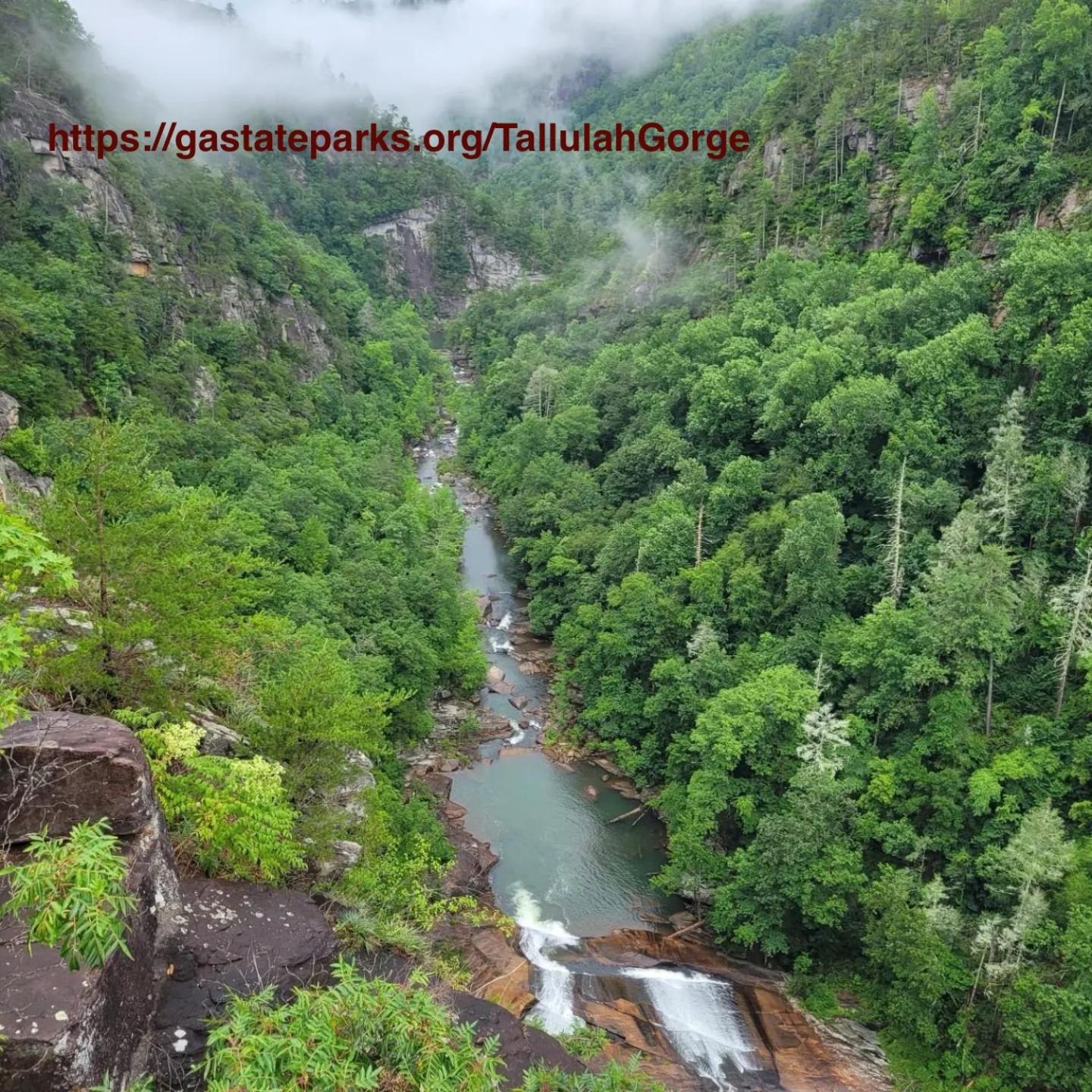 Mountain Valley Inn Dillard Εξωτερικό φωτογραφία